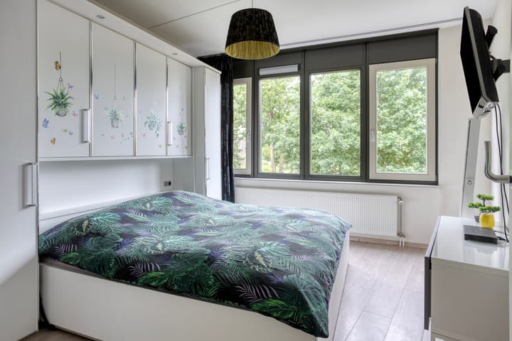 Foto 4 van Bosleeuwerik 2