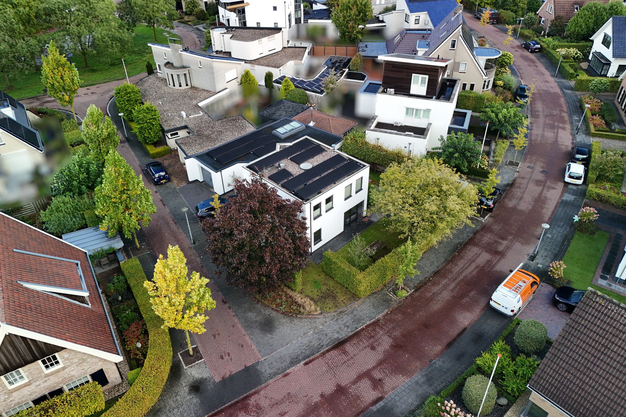 Photo 39 of Goudvink 39