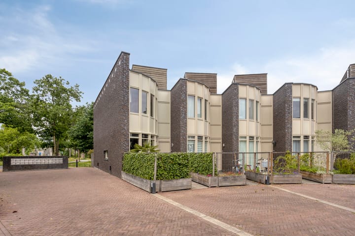 Foto 7 van Bosleeuwerik 2