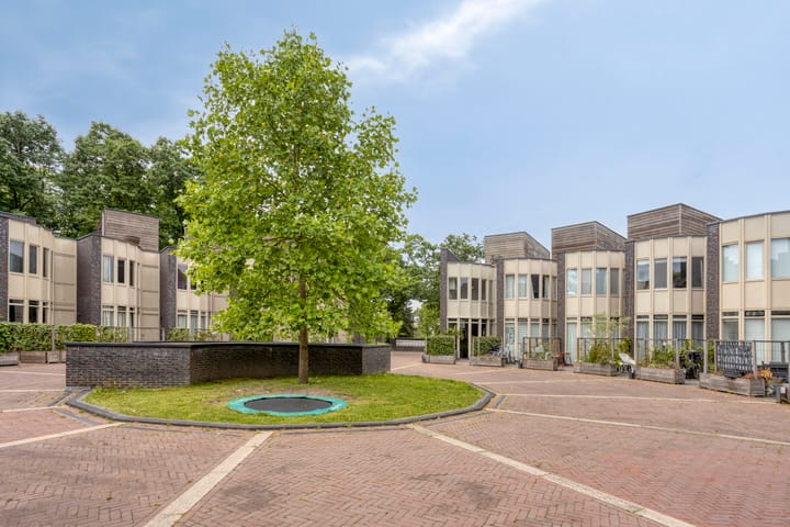 Foto 11 van Bosleeuwerik 2