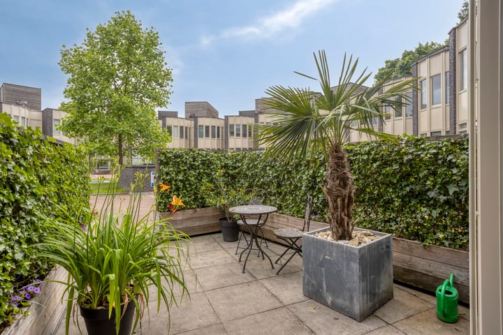 Foto 12 van Bosleeuwerik 2