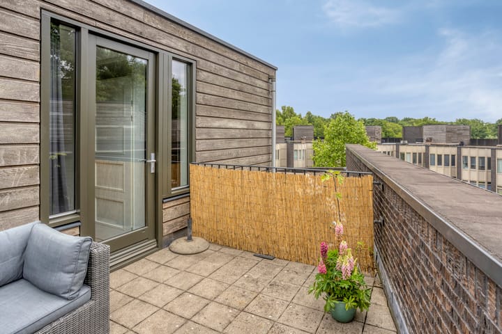 Foto 39 van Bosleeuwerik 2