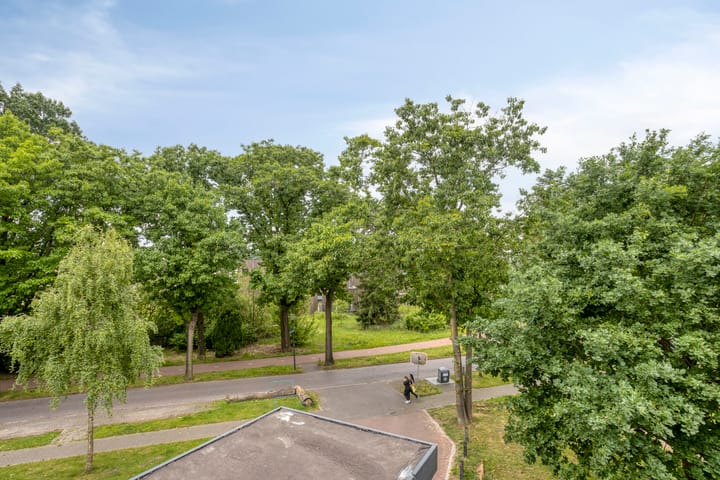 Foto 40 van Bosleeuwerik 2