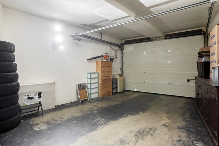 Foto 43 van Bosleeuwerik 2