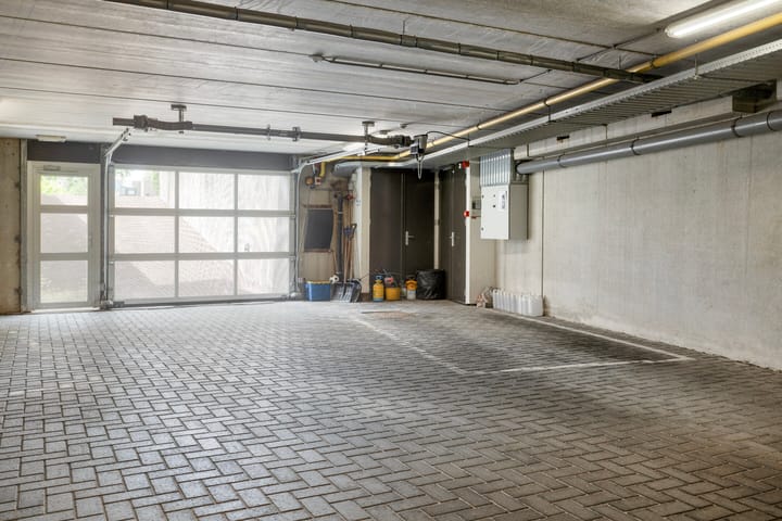 Foto 46 van Bosleeuwerik 2