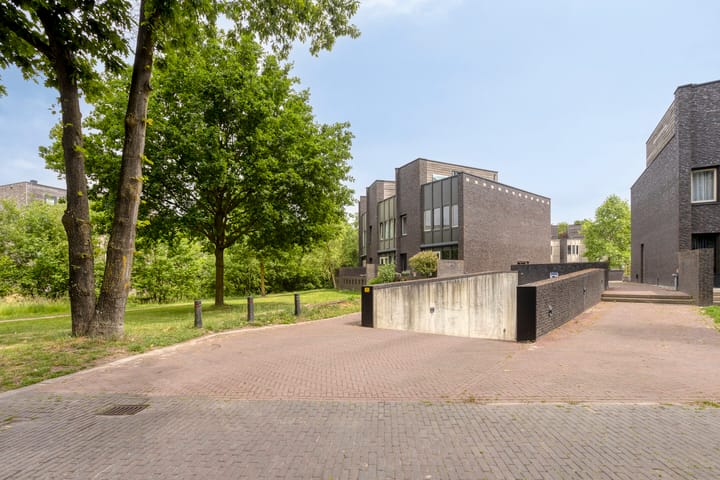 Foto 52 van Bosleeuwerik 2