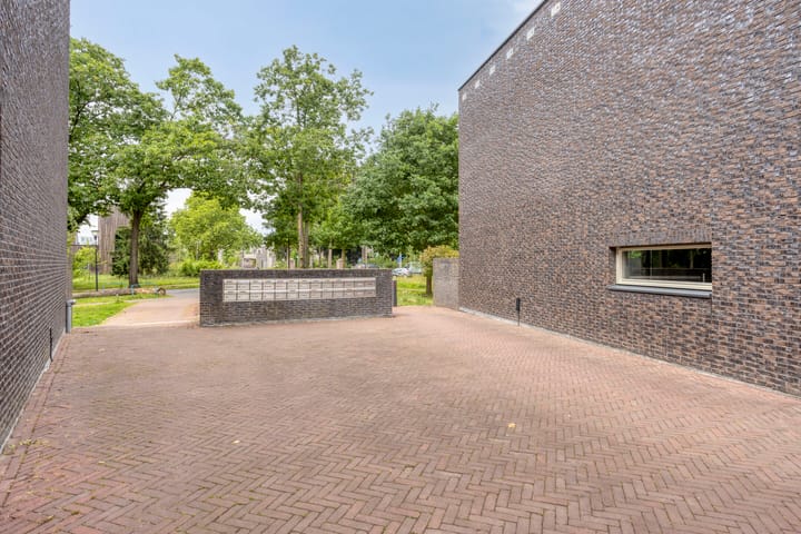 Foto 53 van Bosleeuwerik 2