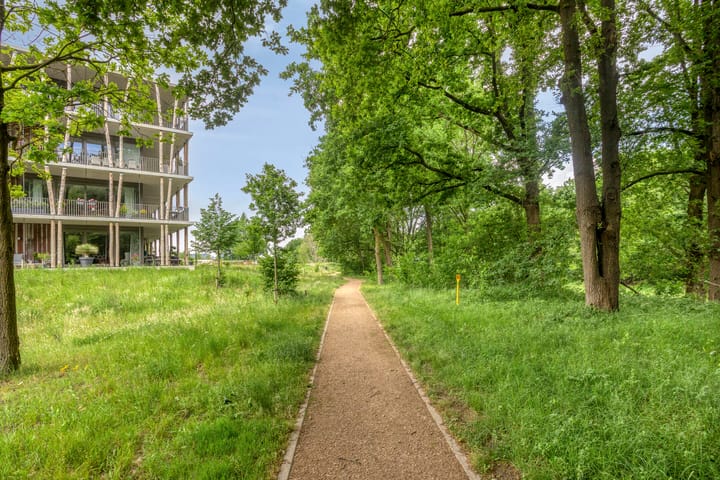 Foto 56 van Bosleeuwerik 2