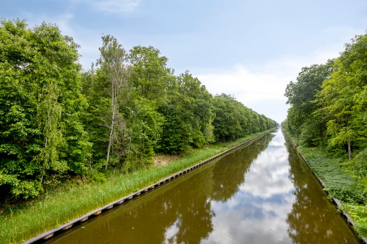 Foto 57 van Bosleeuwerik 2