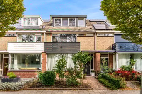 undefined main image