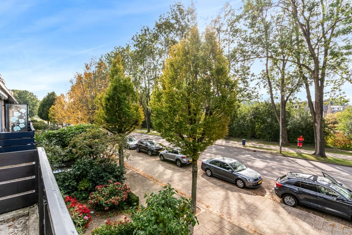 Foto 23 van Wiegerbruinlaan 45