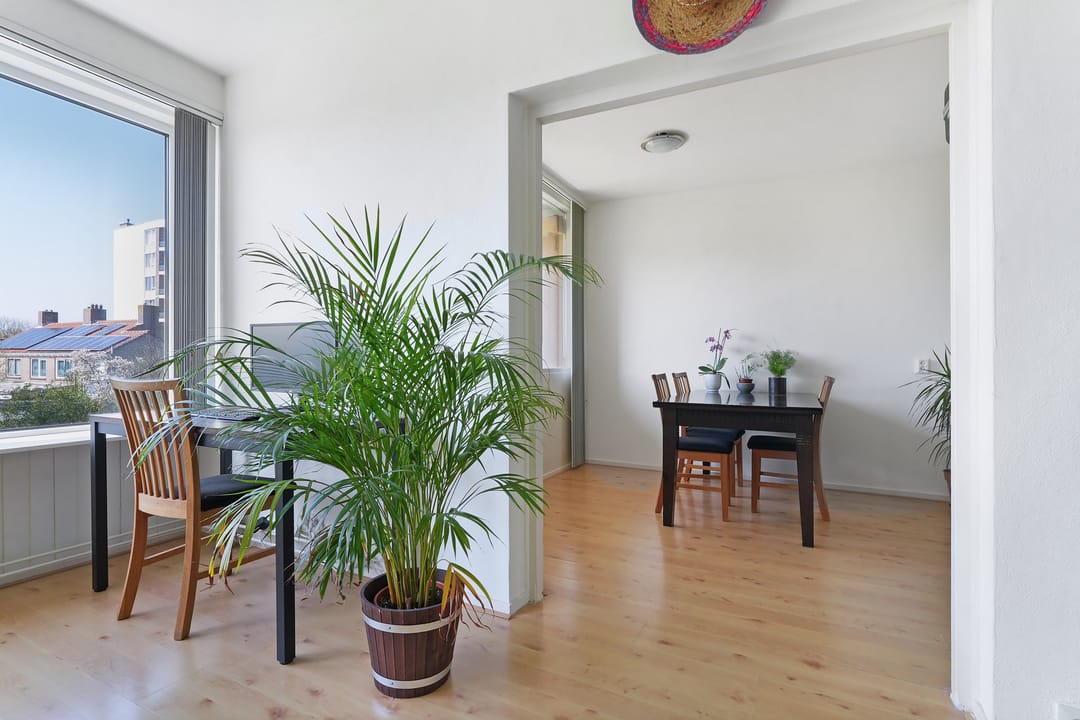 Foto 11 van Vredehoflaan 71