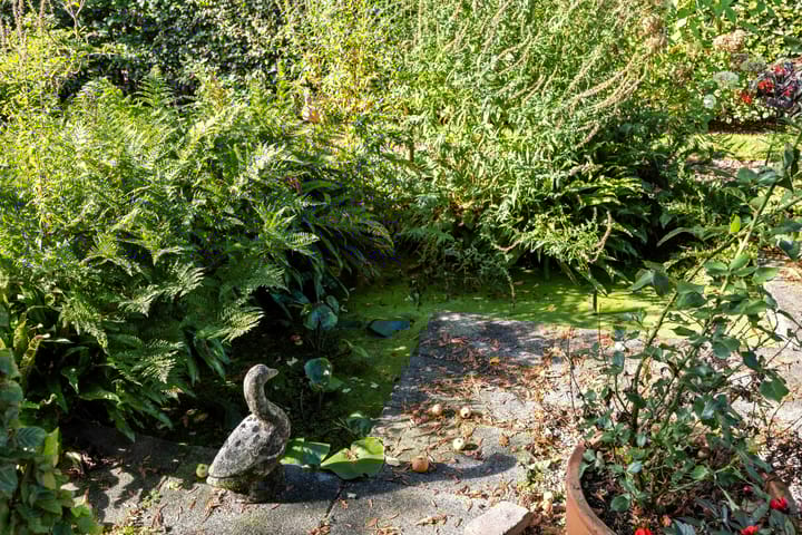 Photo 42 of Groningerstraatweg 42