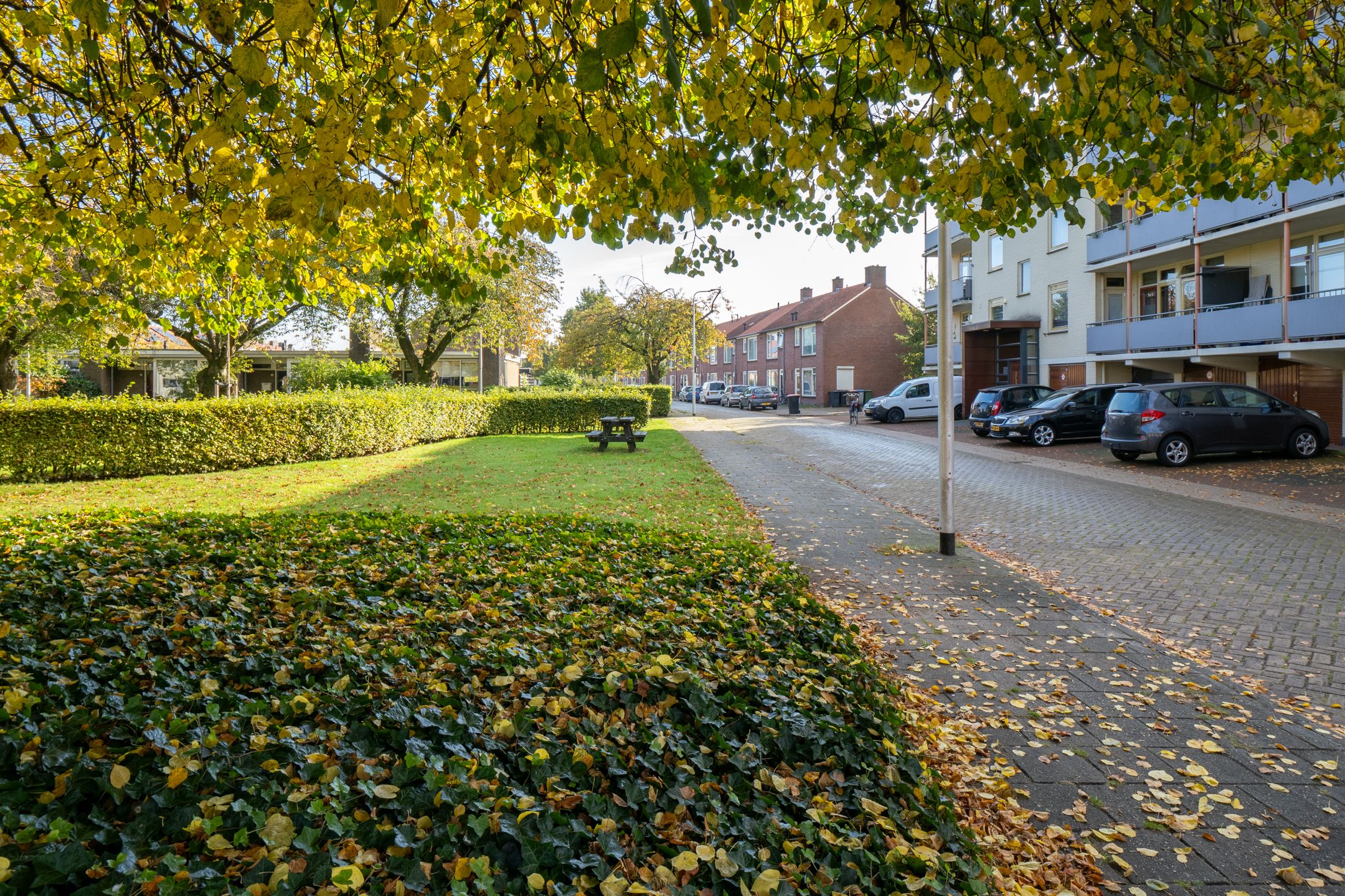 Photo 18 of Lieven de Keystraat 19
