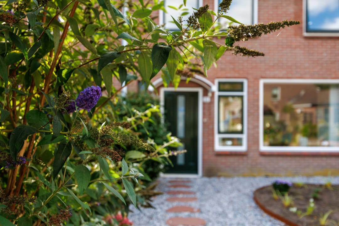 Foto 8 van Dikninge 11