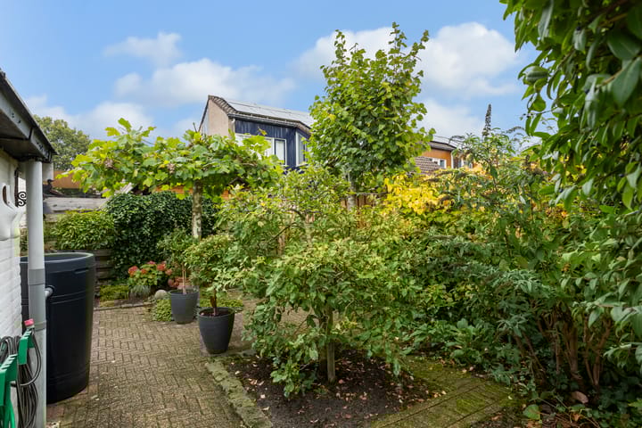 Foto 15 van De Maten 20