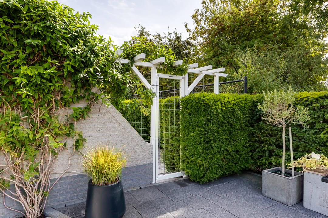 Foto 32 van H. Roland Holstlaan 9