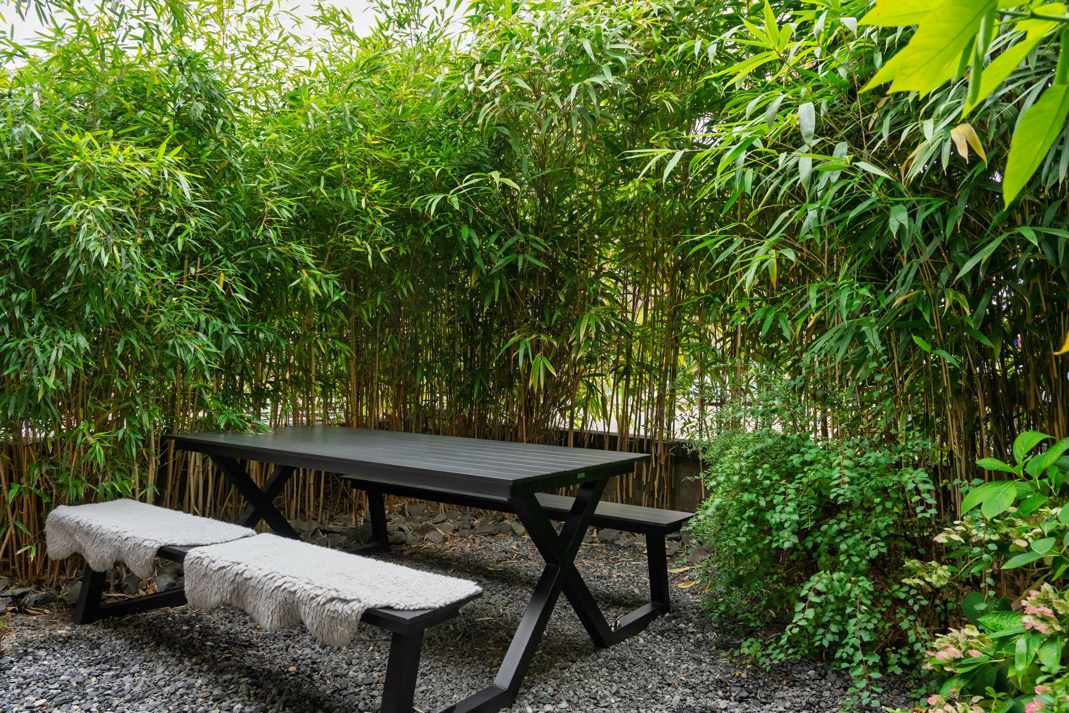 Photo 9 of Alcorstraat 29