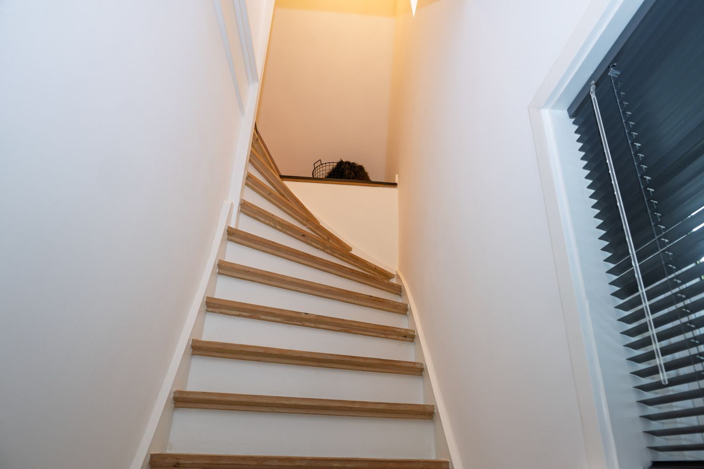 Photo 35 of Alcorstraat 29