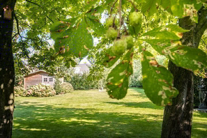 Foto 55 van Kruisstraat 6