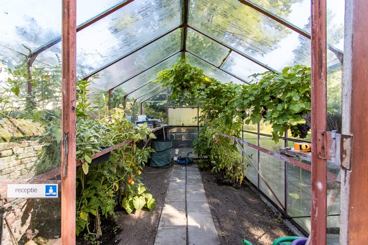 Foto 60 van Kruisstraat 6