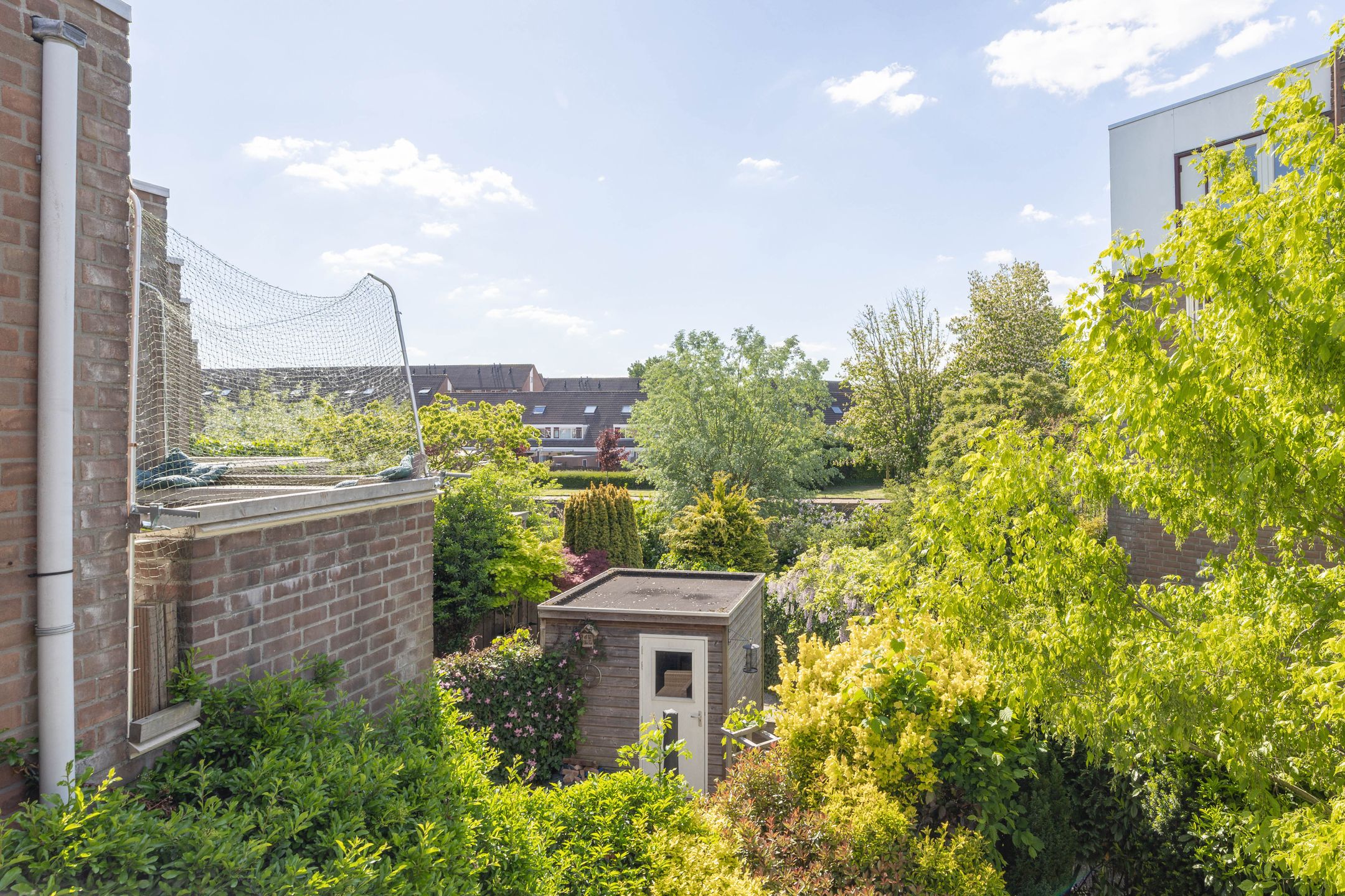 Foto 30 van Scheldedal 106