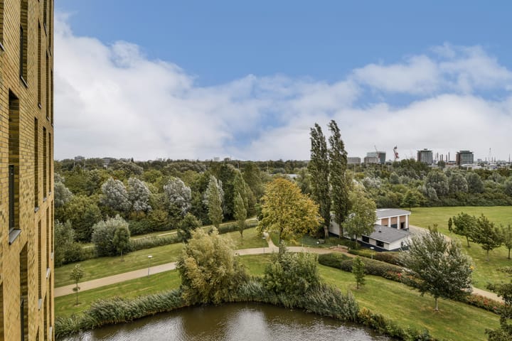 Foto 13 van van Maanenstraat 110