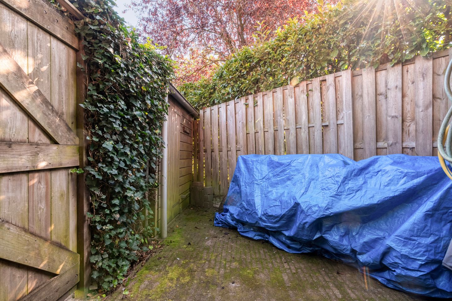 Photo 50 of De Veurdele 58