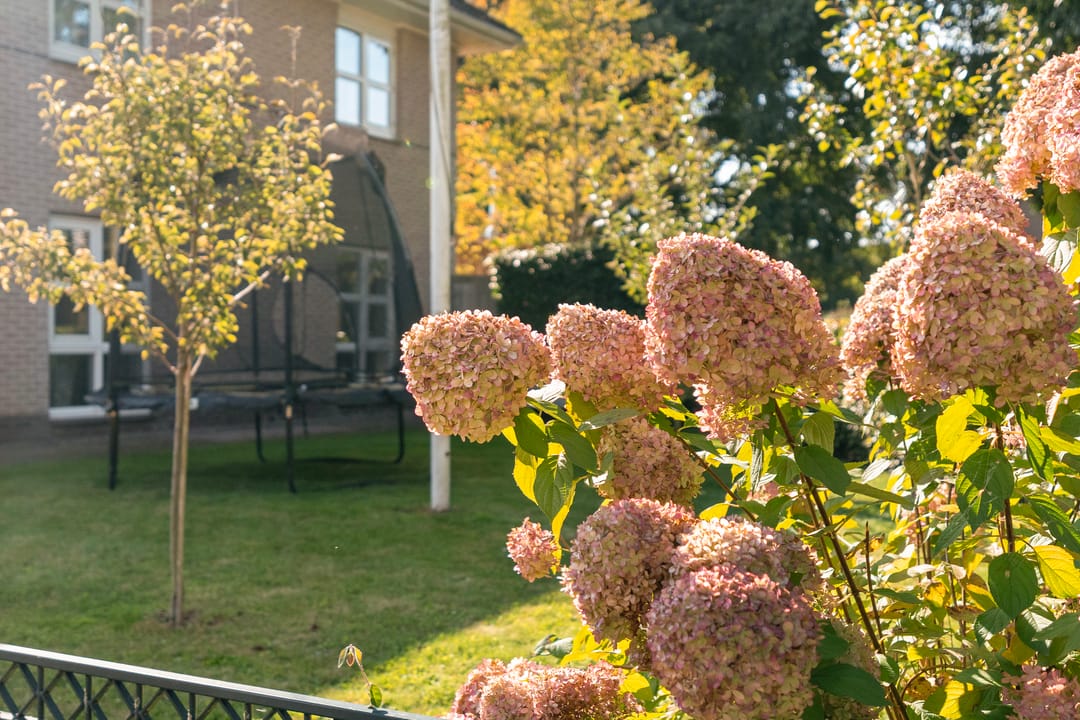 Photo 58 of De Veurdele 58