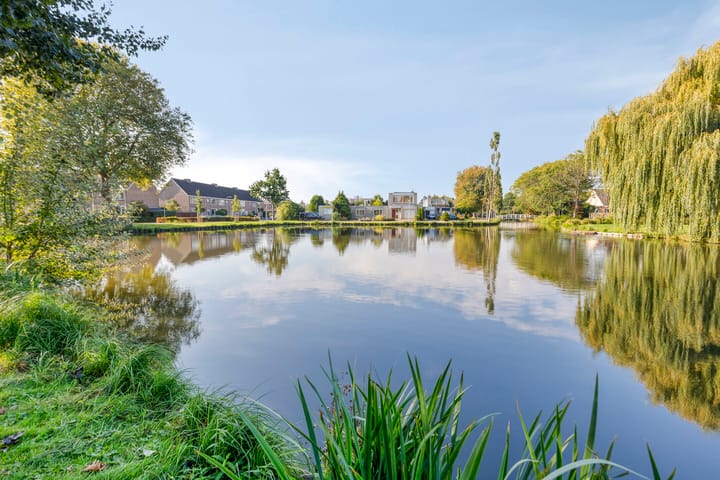 Foto 41 van de Lairessestraat 15