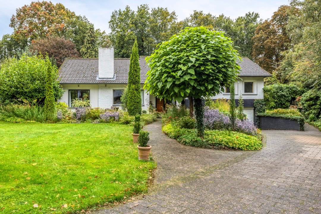 Foto 7 van de Zaalsteden 21