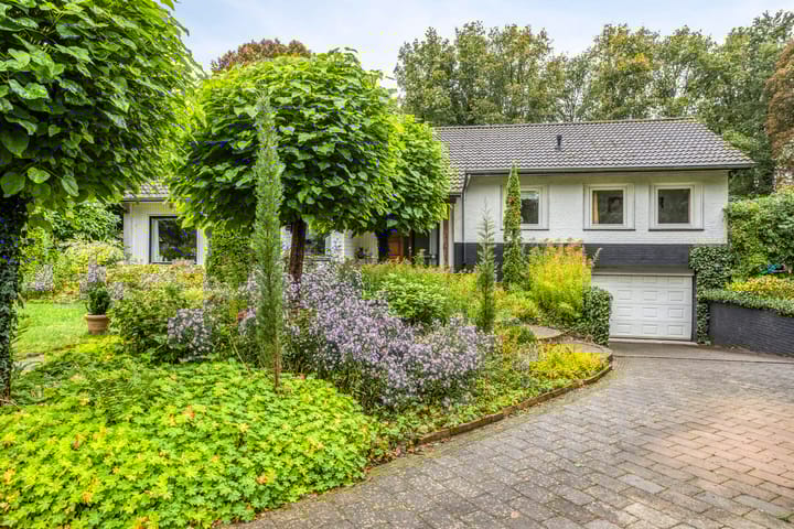 Photo 8 of de Zaalsteden 21