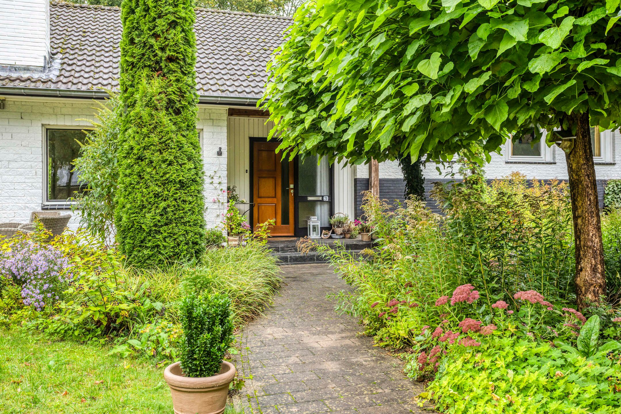 Foto 9 van de Zaalsteden 21