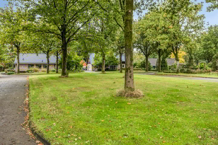 Photo 52 of de Zaalsteden 21