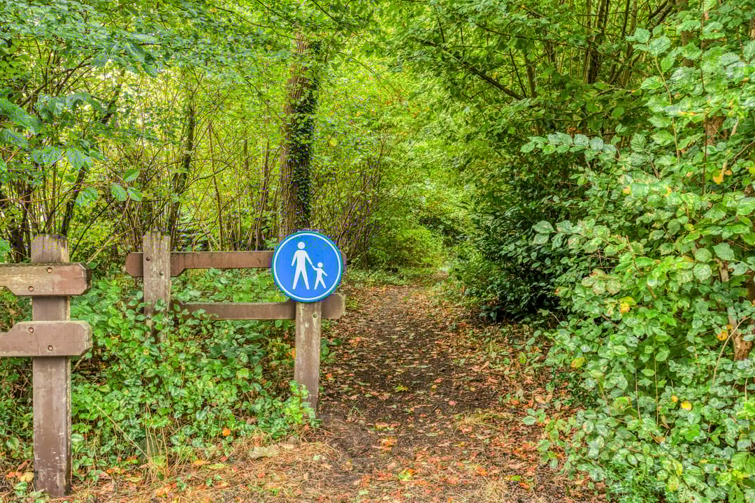 Foto 53 van de Zaalsteden 21