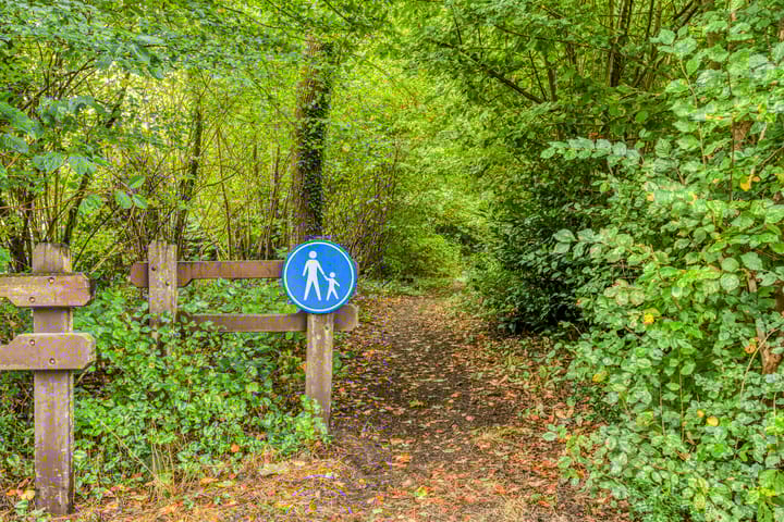 Photo 53 of de Zaalsteden 21