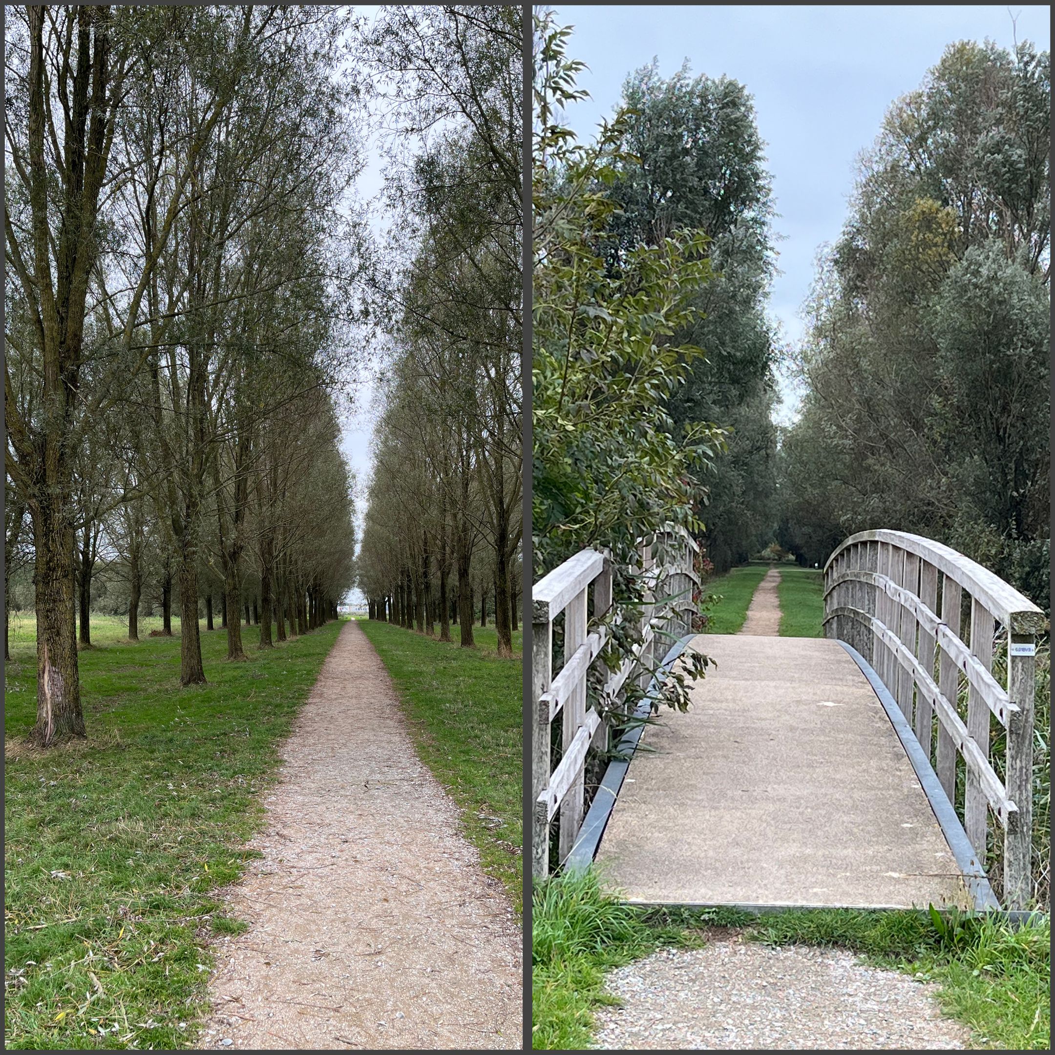 Foto 54 van De Heerlijkheid 151