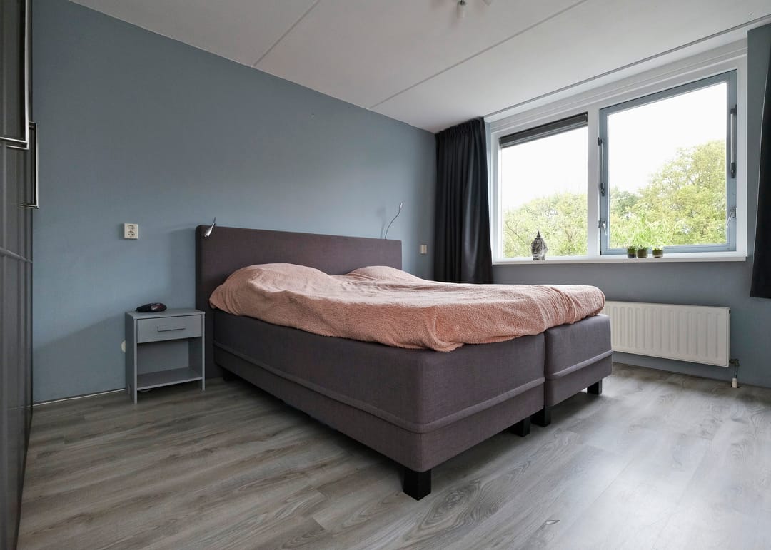 Photo 16 of Rosa Spierplantsoen 26