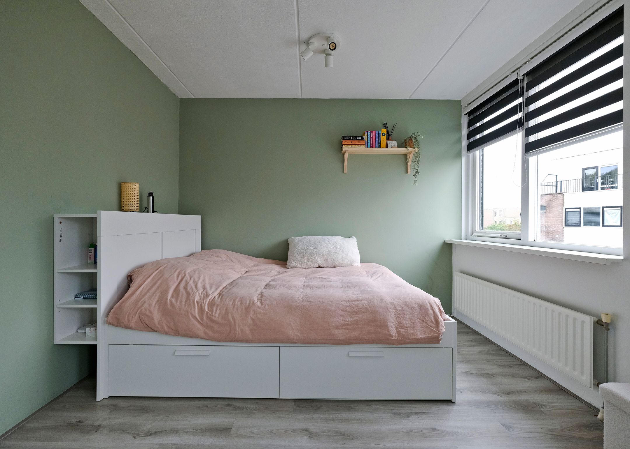 Photo 18 of Rosa Spierplantsoen 26