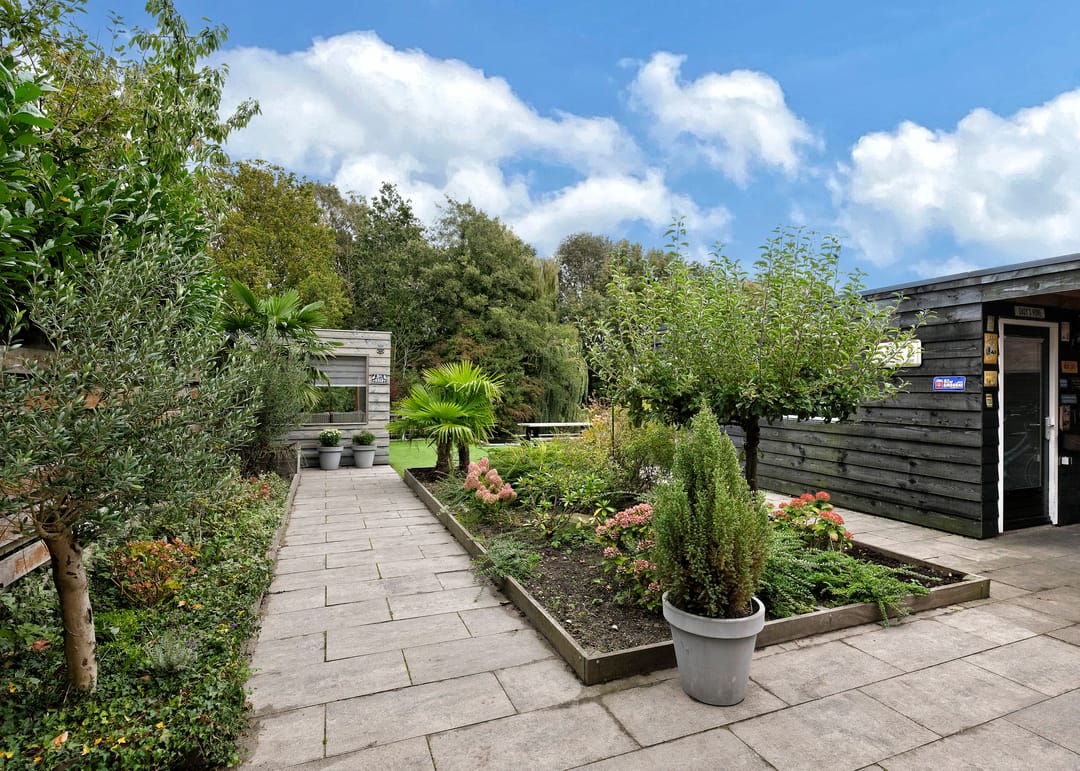 Photo 32 of Rosa Spierplantsoen 26