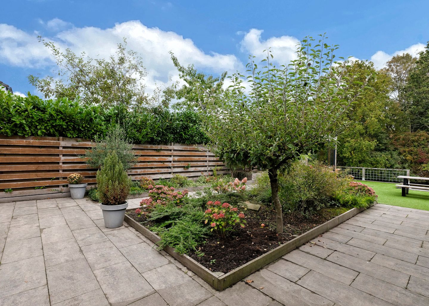 Photo 34 of Rosa Spierplantsoen 26