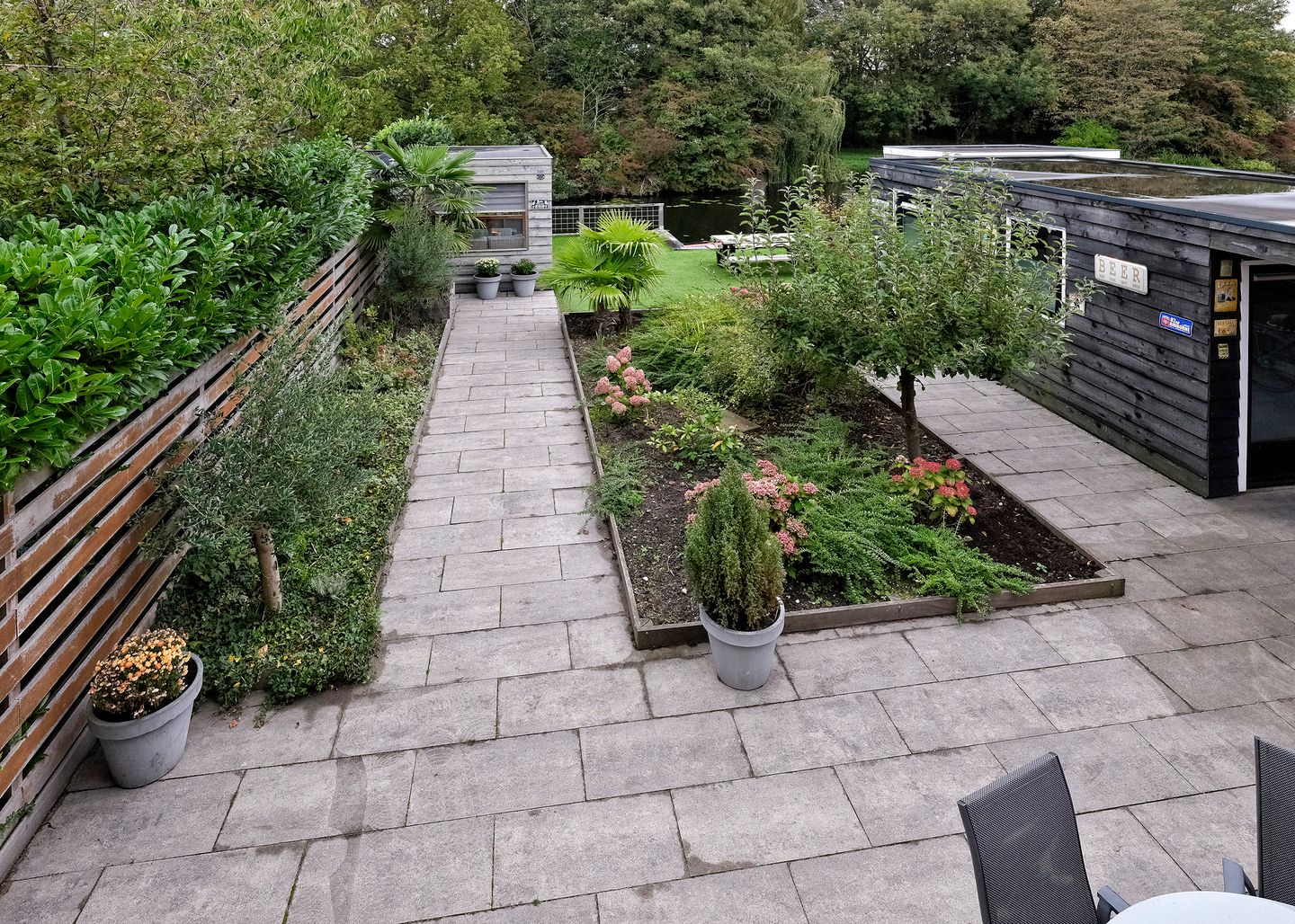 Photo 35 of Rosa Spierplantsoen 26