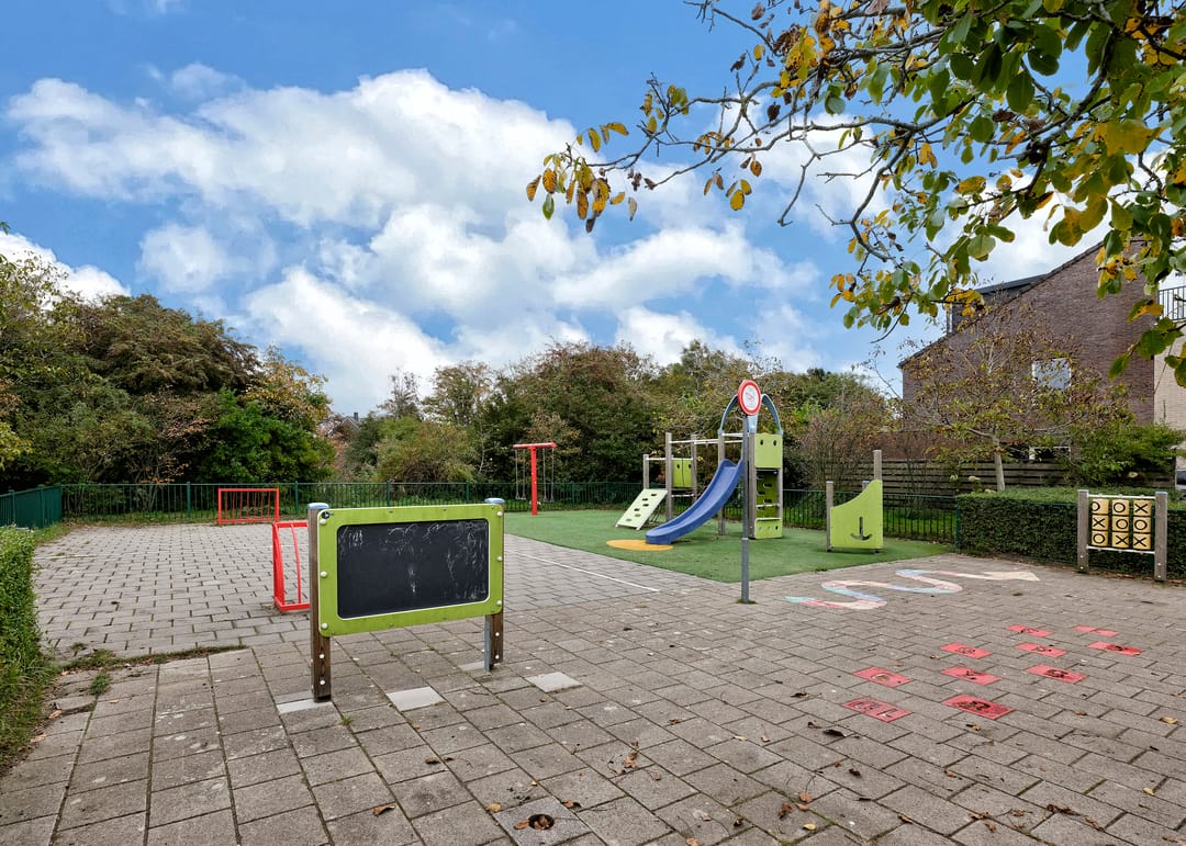 Photo 43 of Rosa Spierplantsoen 26