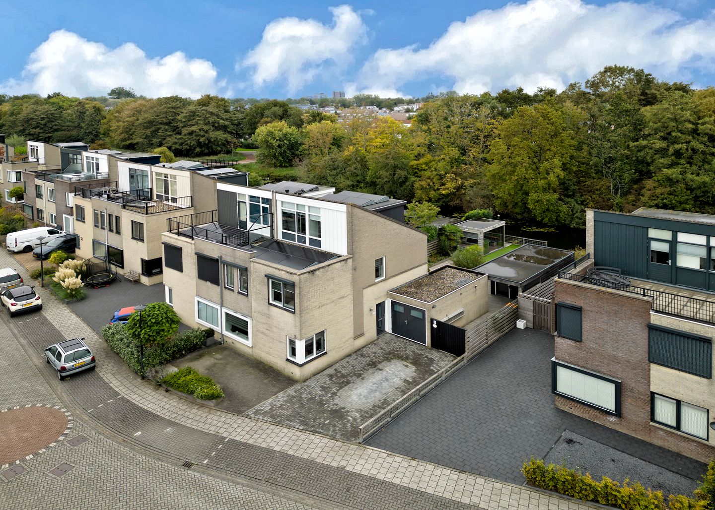 Photo 44 of Rosa Spierplantsoen 26