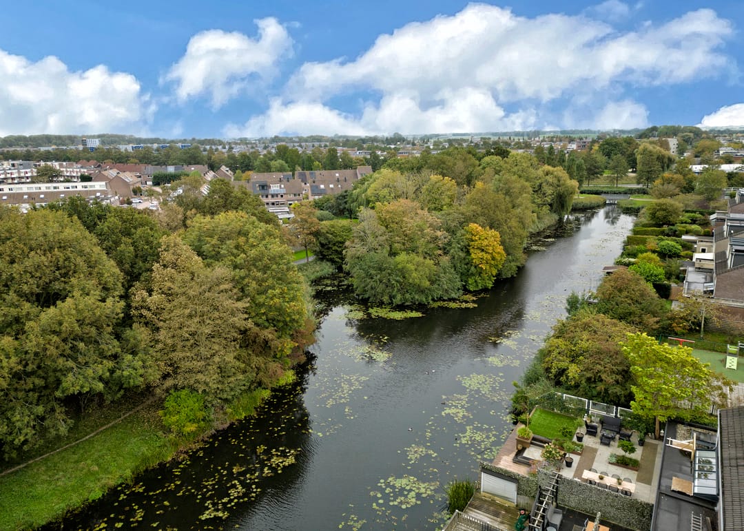 Photo 47 of Rosa Spierplantsoen 26