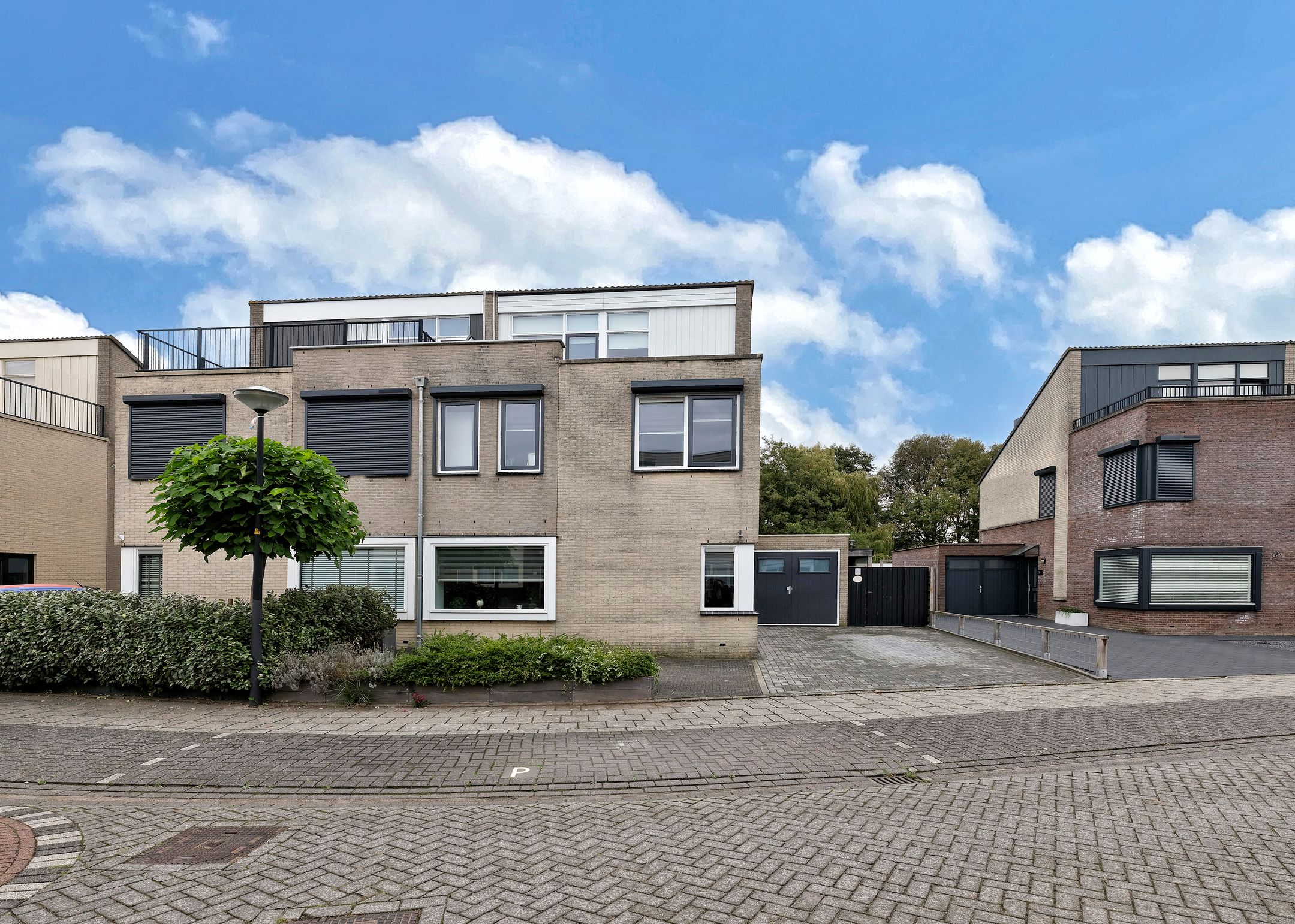 Photo 48 of Rosa Spierplantsoen 26