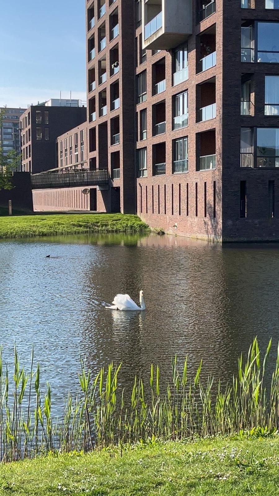 Foto 55 van De Heerlijkheid 151