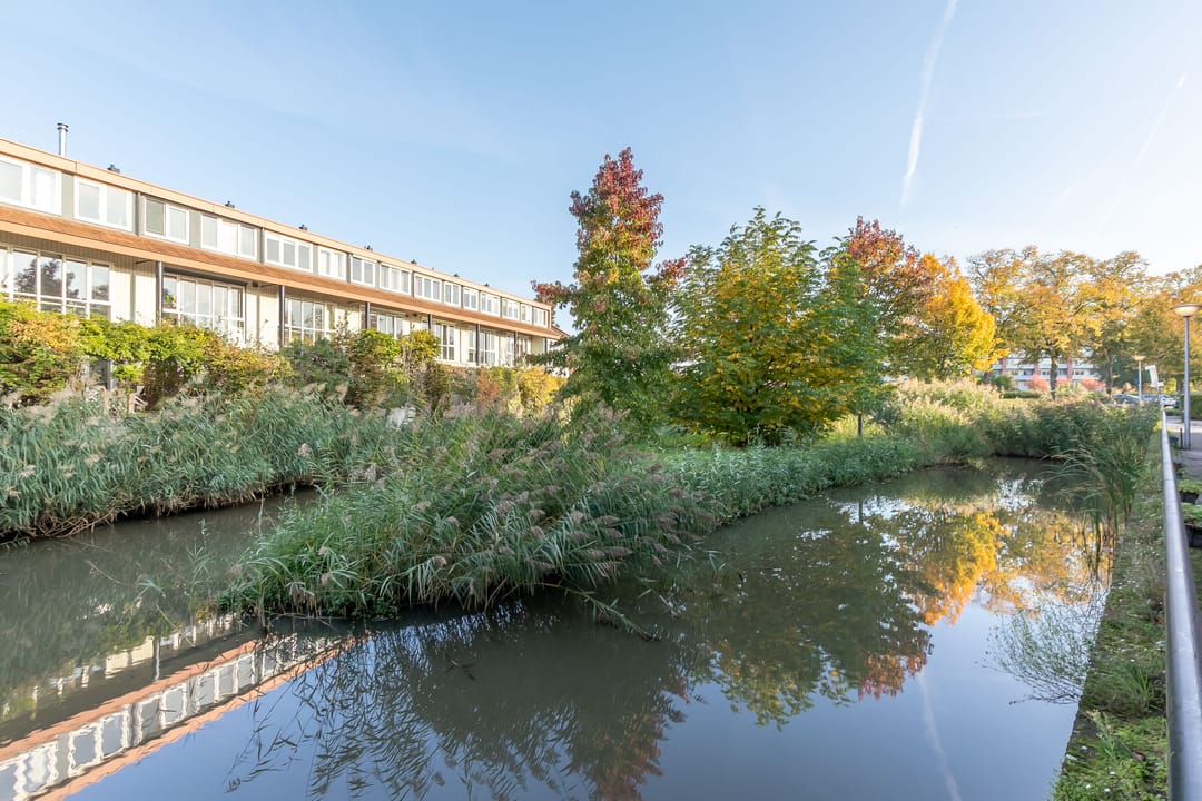 Foto 8 van Binckesstraat 202