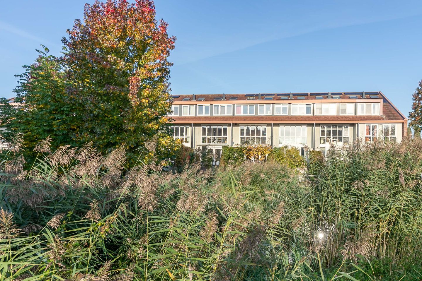 Foto 49 van Binckesstraat 202