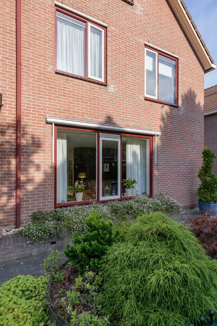 Foto 23 van Meibloem 20